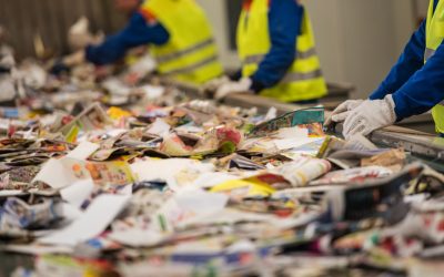 market report for the paper recycling industry
